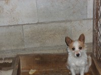 /album/fotogaleria/a100-2933-jpg/