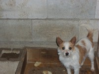 /album/fotogaleria/a100-2924-jpg/