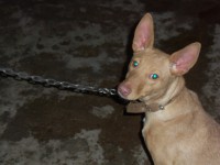 /album/fotogaleria/a100-2932-jpg/