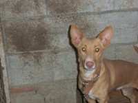 /album/fotogaleria/a100-2937-jpg/