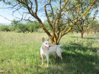 /album/fotogaleria/a100-2975-jpg/