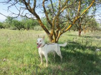 /album/fotogaleria/a100-2976-jpg/