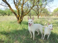 /album/fotogaleria/a100-2979-jpg/