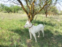 /album/fotogaleria/a100-2983-jpg/