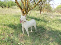 /album/fotogaleria/a100-2984-jpg/